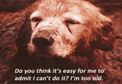 a caption from the movie Homeward Bound showing an old, weathered Golden Retriever dog tiredly squinting into the camera. He is covered in mud and looks defeated. The caption reads "Do you think it's easy for me to admit I can't do it? I'm too old."
