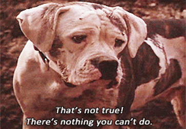 a caption from the movie Homeward Bound showing a young, concerned looking white Boxer dog with block spots. His ear cocks back as he looks down in concern and says "That's not true! There's nothing you can't do."