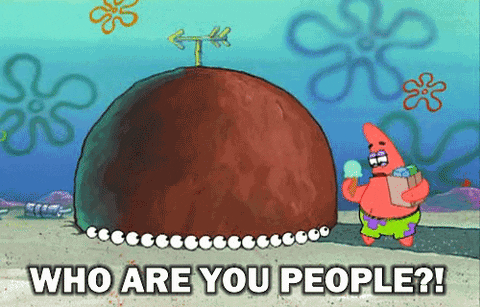 a gif from Spongebob Squarepants. It shows Patrick coming home from the grocery store with an ice cream cone in his hand and arriving at his Rock house to see a dozen set of eyes already hiding in his house. He shouts "Who are you people?!"