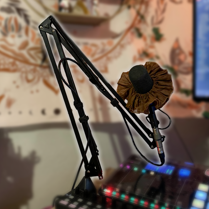 Boom Arm: TONOR Microphone Stand Extension Arm