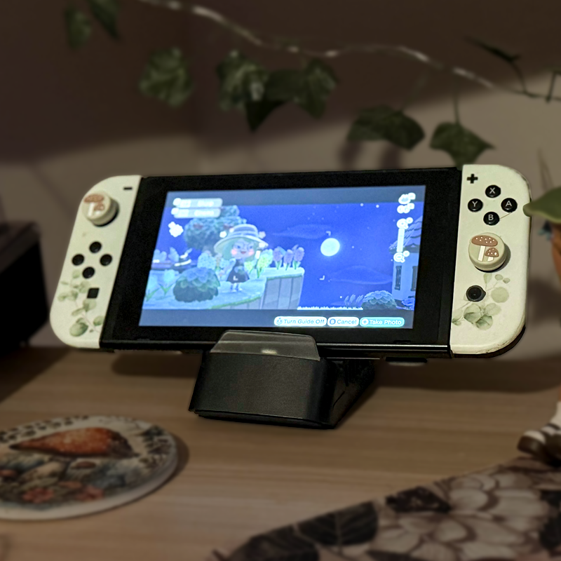 NINTENDO SWITCH: Aesthetic Vinyl Cover