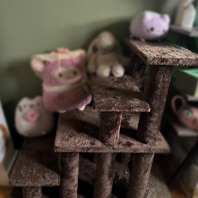 CAT STAIRS: Multi-Step Pet Stairs for Pets w/ Disabilities